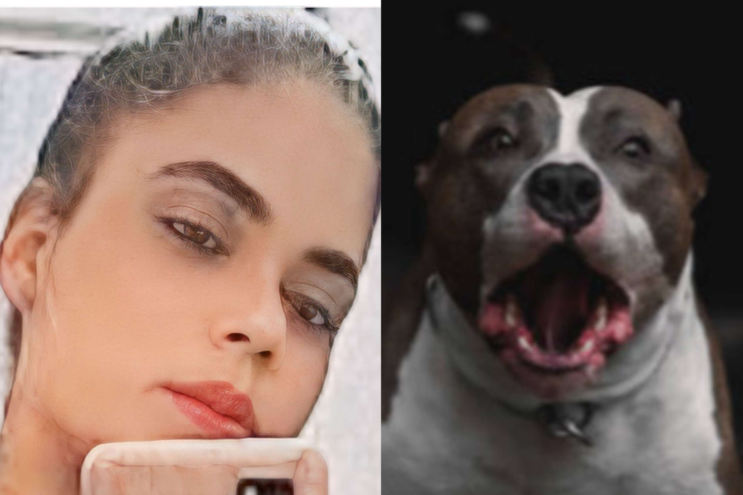 JOVEM DE 25 ANOS MORRE APÓS SER ATACADA PELO PRÓPRIO PITBULL