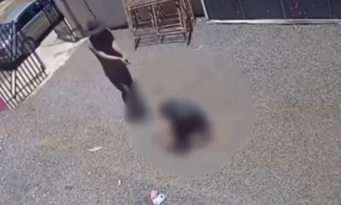 VÍDEO: PAI MATA HOMEM A TIRO APÓS SABER QUE A FILHA FOI AGREDIDA PELA SEGUNDA VEZ