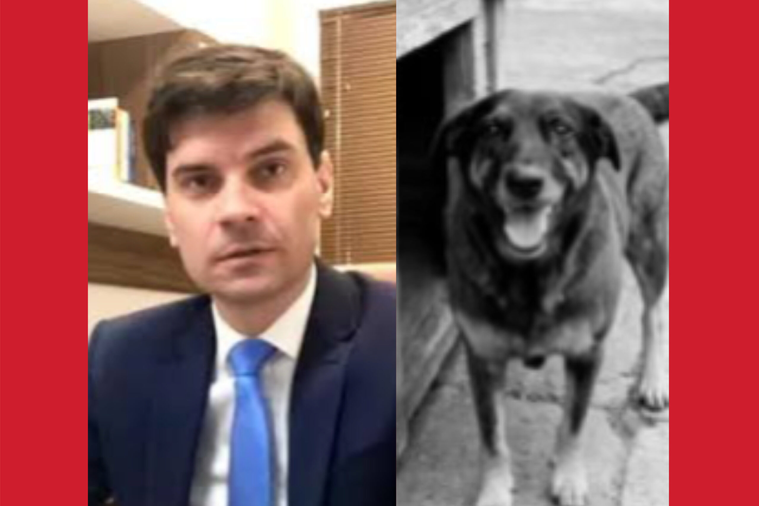 MINISTÉRIO PÚBLICO ABRE INVESTIGAÇÃO CONTRA DELEGADO-GERAL DA POLÍCIA CIVIL POR CONTA DO CASO ORELHA