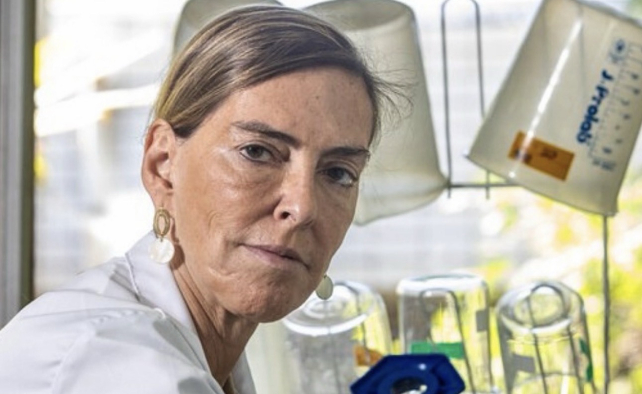 ORGULHO DA CIÊNCIA BRASILEIRA: TATIANA SAMPAIO DEVOLVE MOVIMENTOS A SEIS PACIENTES PARAPLÉGICOS EM ESTUDO INOVADOR