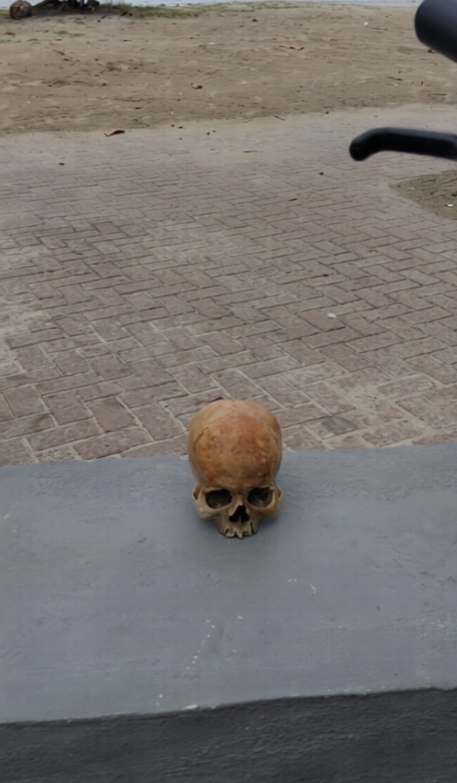 CRIANÇA ESBARRA EM CRÂNIO NA ORLA DE MACEIÓ E CASO ASSUSTA MORADORES E TURISTAS