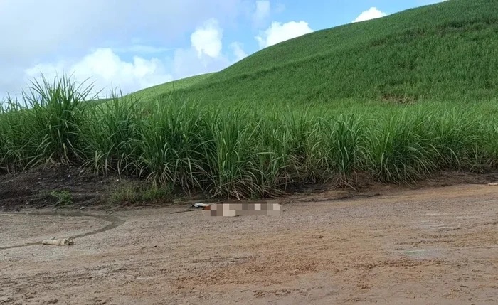 CENA DE TERROR NA AL-413: CORPO ESQUARTEJADO É ENCONTRADO ESPALHADO ÀS MARGENS DA RODOVIA