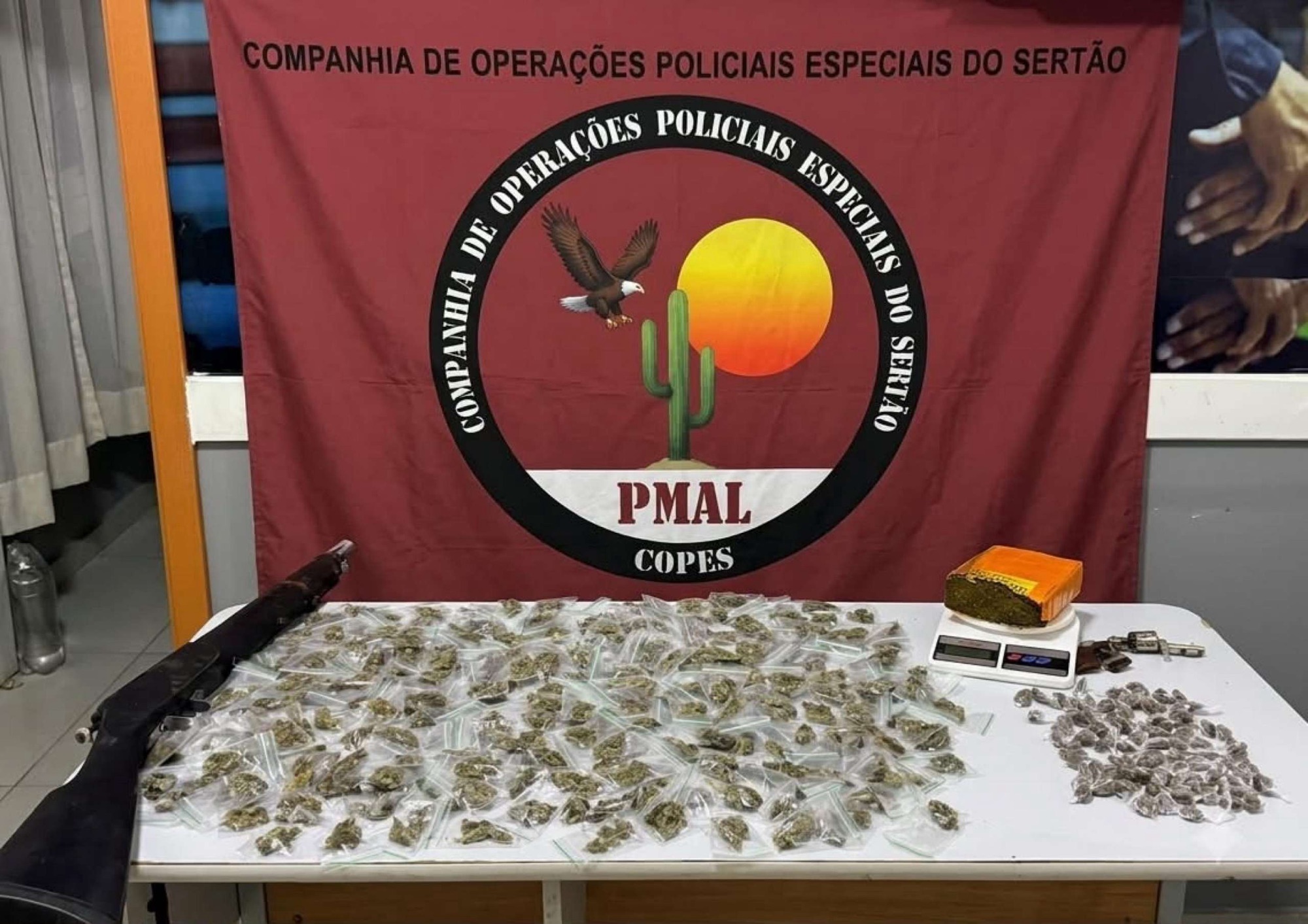 PM ESTOURA PONTO DE TRÁFICO E APREENDE ARMAS E MAIS DE 300 PORÇÕES DE MACONHA NO SERTÃO DE ALAGOAS