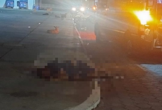 HOMEM É ESPANCADO ATÉ A MORTE COM GOLPES DE TIJOLO EM CAMPO ALEGRE