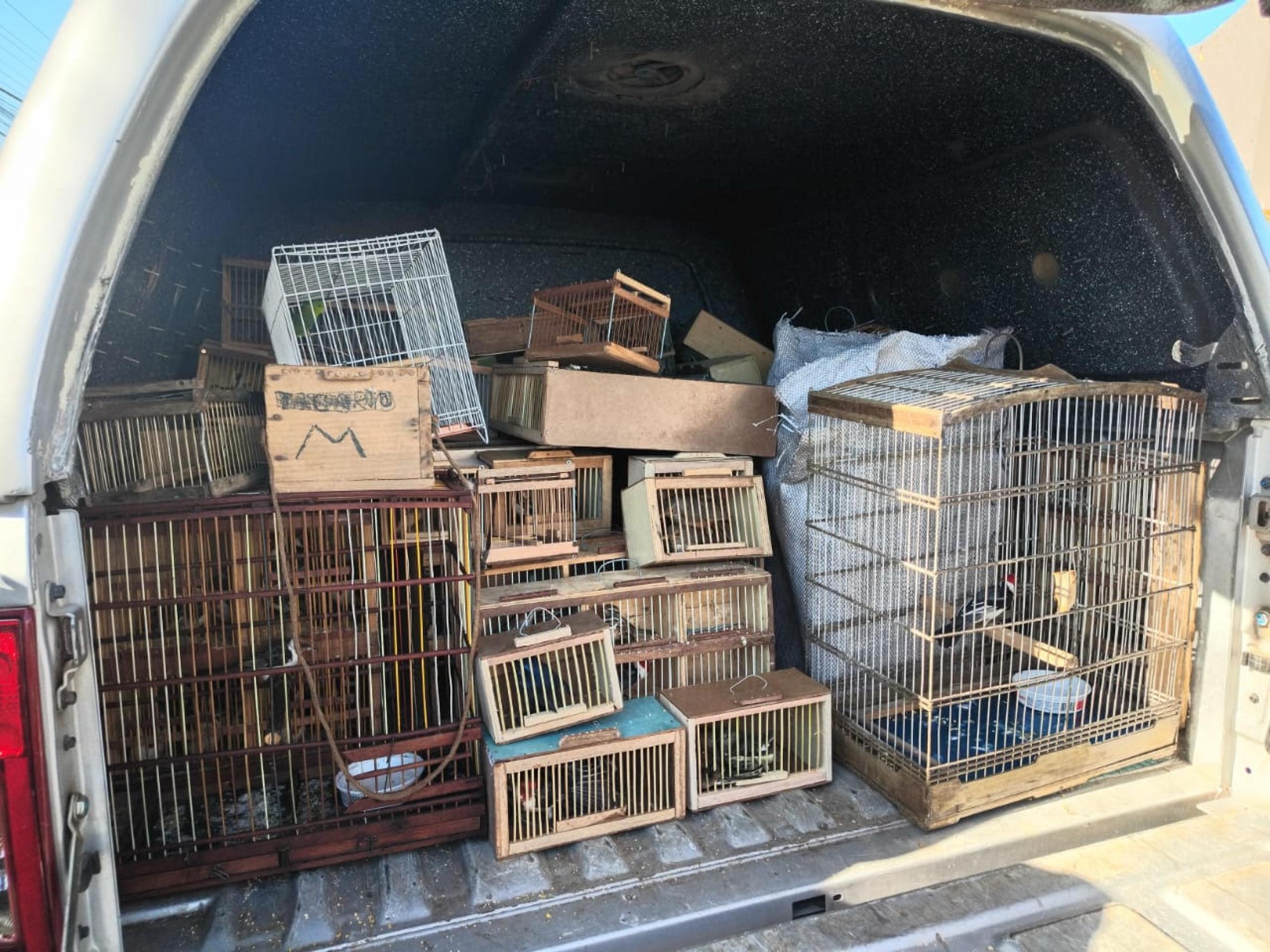 MAIS DE 350 ANIMAIS SILVESTRES SÃO RESGATADOS EM FEIRAS DE ALAGOAS