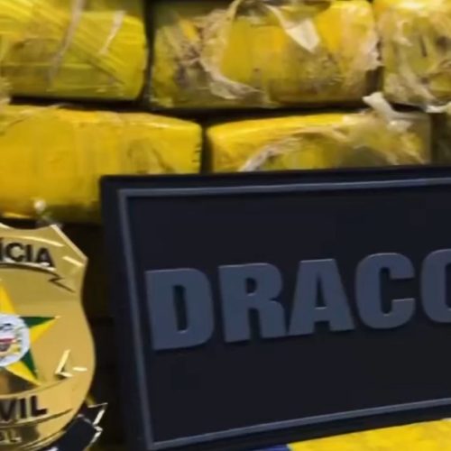 DRACCO APREENDE 77 KG DE MACONHA AVALIADOS EM R$ 300 MIL EM OPERAÇÃO POLICIAL