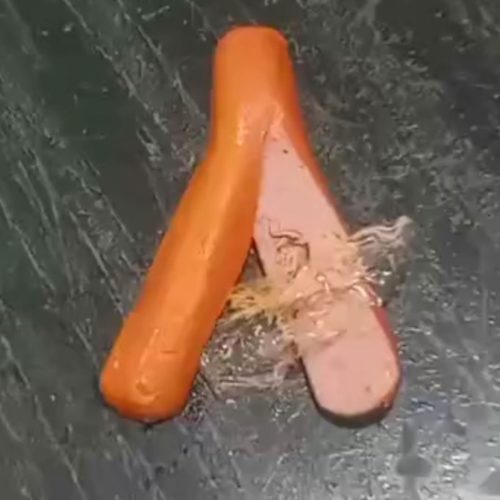 SALSICHA PREMIADA COM PLÁSTICO DEIXA CONSUMIDORA REVOLTADA NO BAIRRO CIDADE UNIVERSITÁRIA