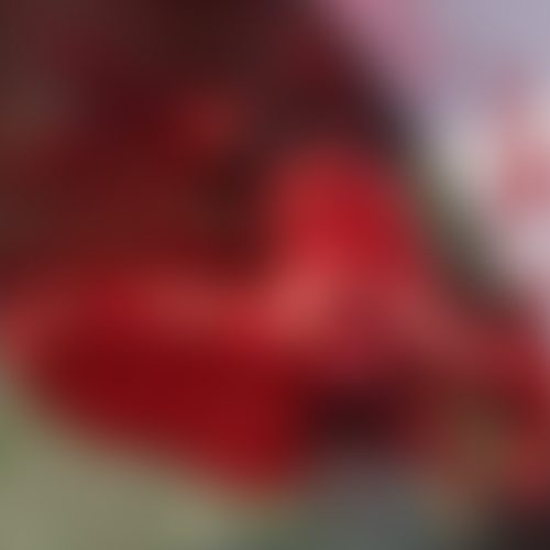 “VERDADEIRA CARNIFICINA”, DIZ SECRETÁRIO EXECUTIVO DE SEGURANÇA PÚBLICA DE ALAGOAS SOBRE MAJOR EM SURTO PSICÓTICO QUE MATOU FILHO E CUNHADO EM MACEIÓ