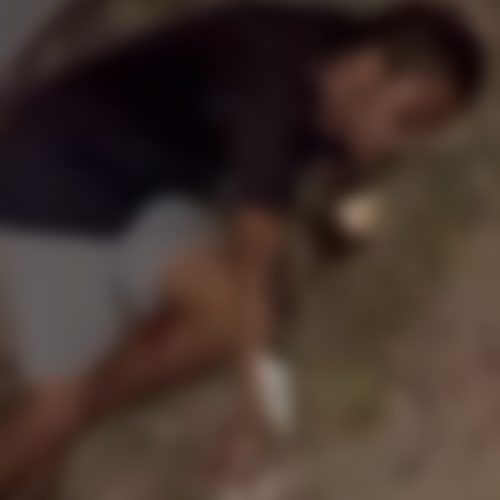 JOVEM EX3CUT4DO EM UNIÃO DOS PALMARES: ALAGOAS REGISTRA 13 HOMICÍD1OS EM MENOS DE 24 HORAS; SÃO 58 MORTES EM 19 DIAS