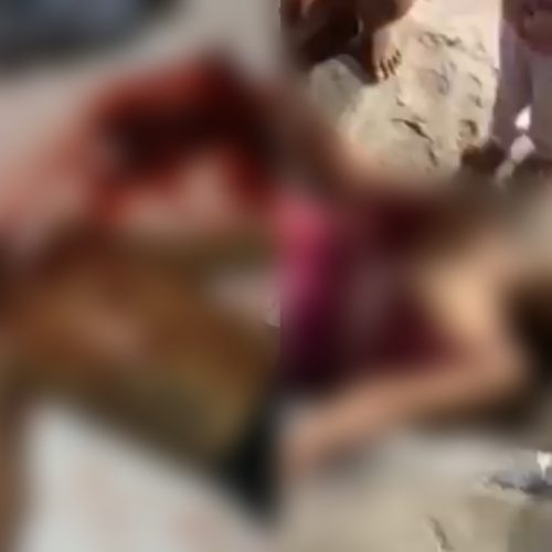 HOMEM É EXECUTADO E MULHER FICA FERIDA EM IPIÓCA; ALAGOAS REGISTRA 16 HOMICÍDIOS EM CINCO DIAS