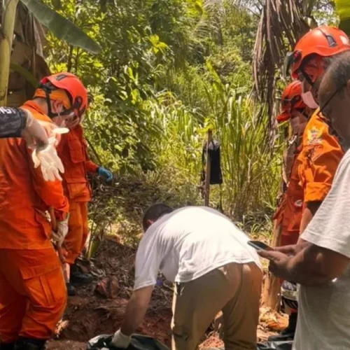 Corpo em Estado Avançado de Decomposição é Encontrado Enterrado em Mata no Bairro Santo Amaro, em Maceió.