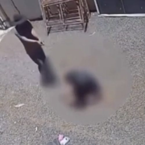 VÍDEO: PAI MATA HOMEM A TIRO APÓS SABER QUE A FILHA FOI AGREDIDA PELA SEGUNDA VEZ