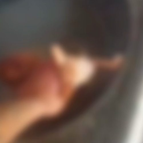 VÍDEO: ABSURDO: DEPUTADO ESTADUAL DELEGADO LEONAM DENUNCIA CRUELDADE CONTRA ANIMAIS EM JUNQUEIRO; FILHOTE É USADO COMO INSTRUMENTO DE AMEAÇA