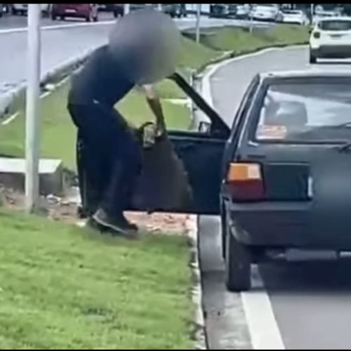 VÍDEO: HOMEM É FLAGRADO FURTANDO TAPETE DE GRAMA DE CANTEIRO EM MACEIÓ: AÇÃO É GRAVADA POR TESTEMUNHA.